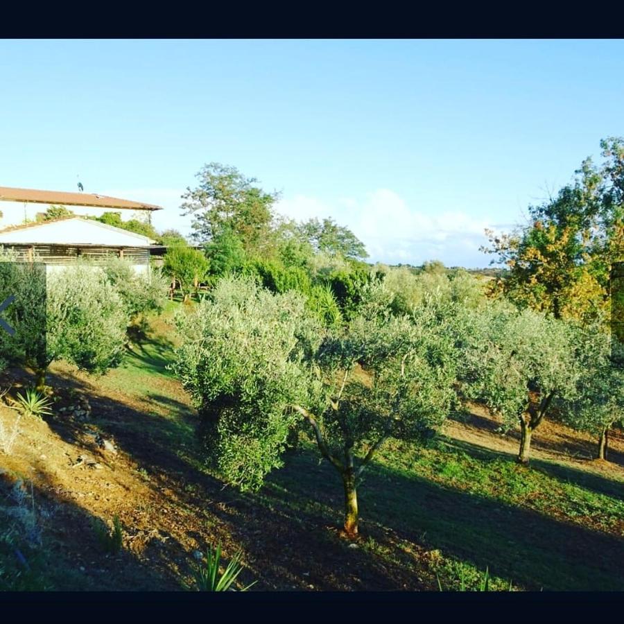 Agriturismo Colleverde Капальбио Экстерьер фото